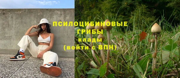 соль курить ск Арсеньев