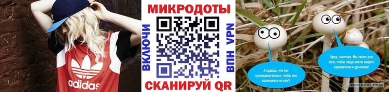 дарнет шоп Кувандык Псилоцибиновые грибы прущие грибы