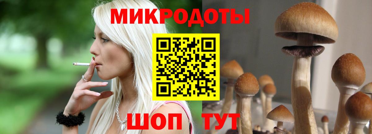 Кувандык  Галлюциногенные грибы Cubensis  Вход с VPN  Псилоцибиновые грибы Psilocybe 