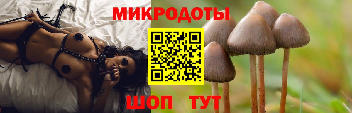 Галлюциногенные грибы Magic Shrooms Кувандык